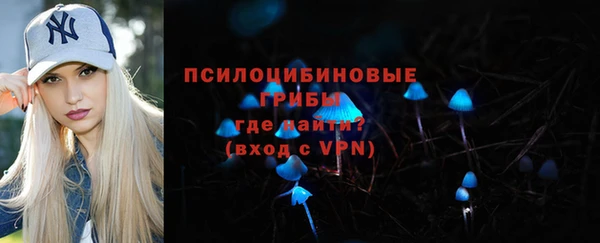 крисы Киреевск