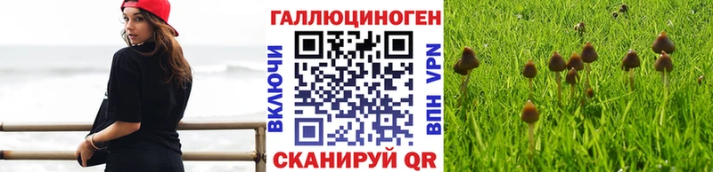 Галлюциногенные грибы GOLDEN TEACHER  хочу   Кудрово 