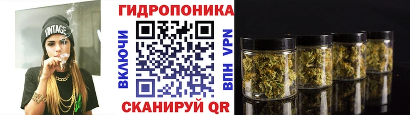 наркота  Кудрово  дарк нет какой сайт  МАРИХУАНА OG Kush 